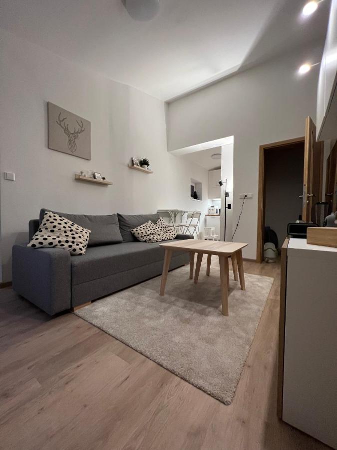Apartman U Potoka Dolni Morava Luaran gambar